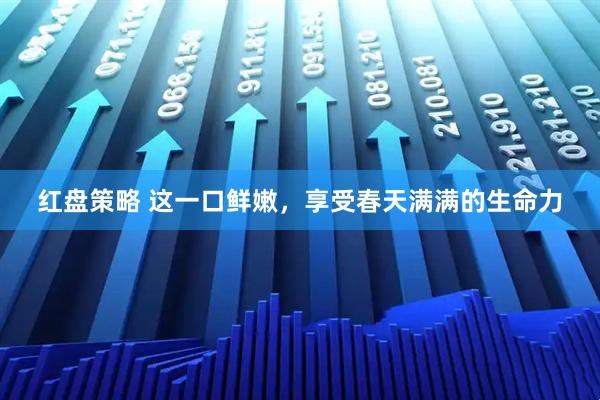 红盘策略 这一口鲜嫩，享受春天满满的生命力