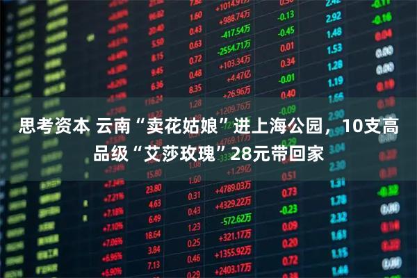 思考资本 云南“卖花姑娘”进上海公园，10支高品级“艾莎玫瑰”28元带回家