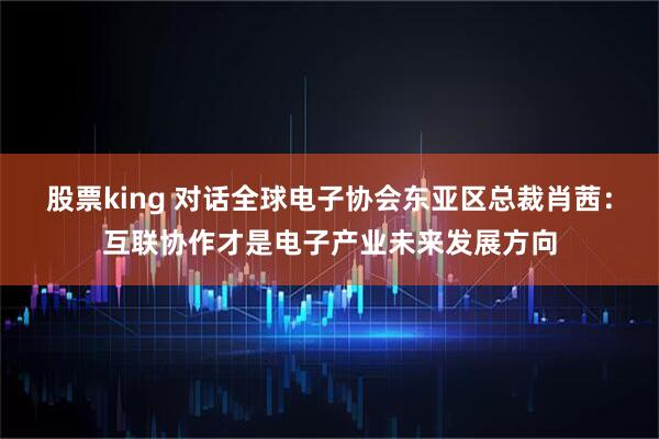 股票king 对话全球电子协会东亚区总裁肖茜：互联协作才是电子产业未来发展方向