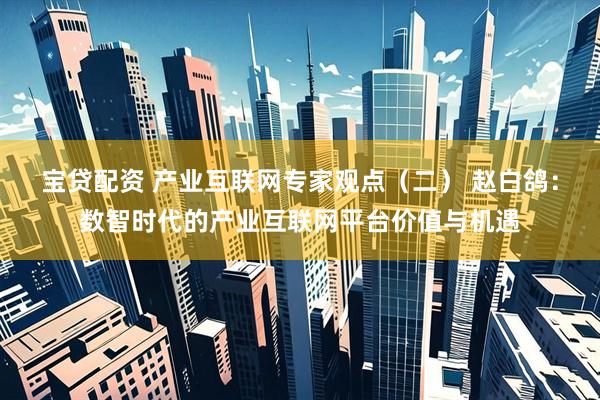 宝贷配资 产业互联网专家观点（二） 赵白鸽：数智时代的产业互联网平台价值与机遇