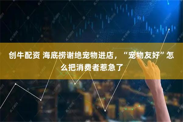 创牛配资 海底捞谢绝宠物进店，“宠物友好”怎么把消费者惹急了